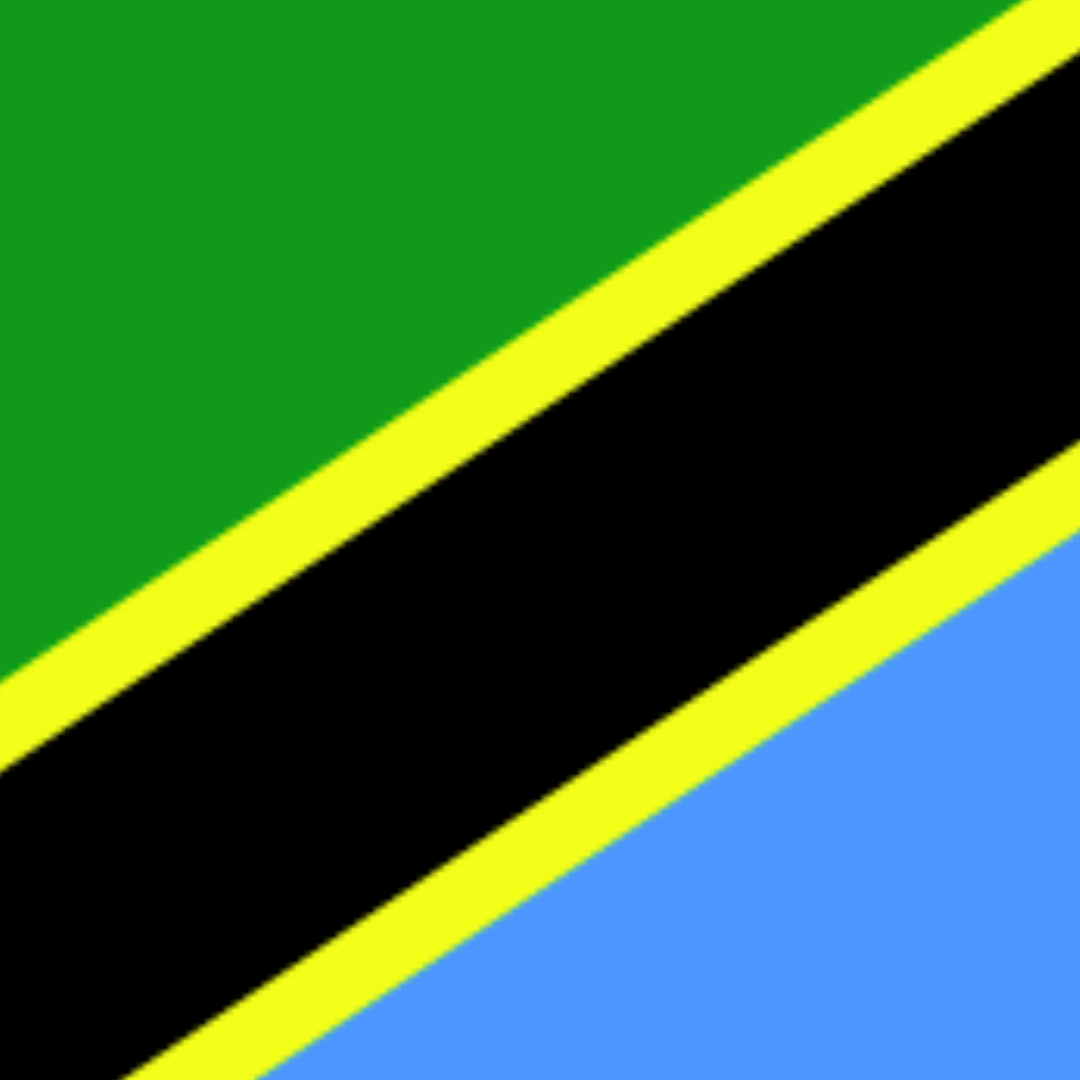 معرفی محصولات، خدمات و فرصت‌های صادراتی در بازار تانزانیا