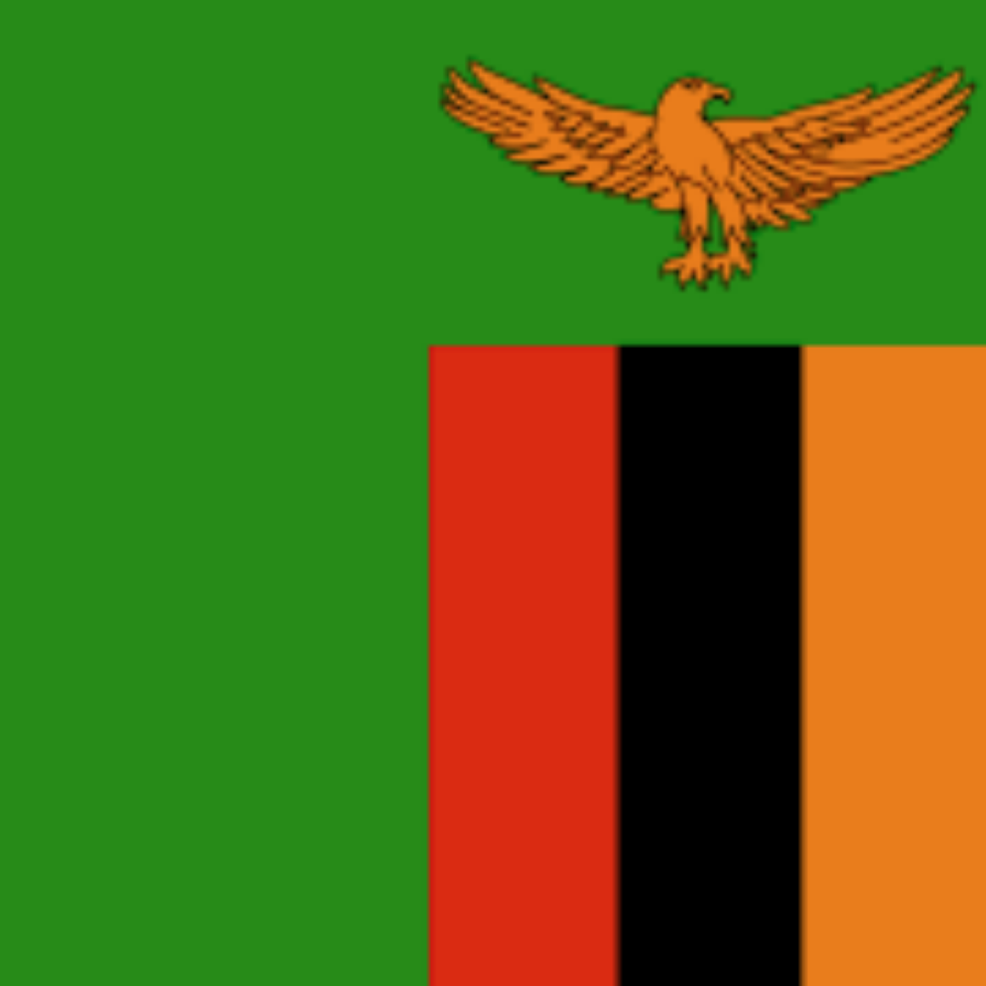 معرفی محصولات، خدمات و فرصت‌های صادراتی در بازار زامبیا