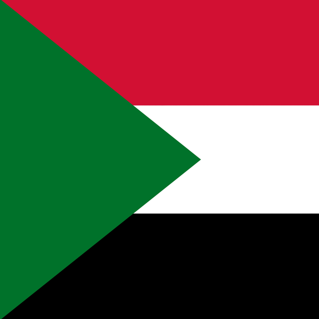 معرفی محصولات، خدمات و فرصت‌های صادراتی در بازار سودان